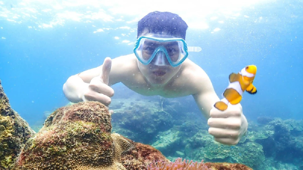 Samaesan Island Snorkeling Tour from Pattaya