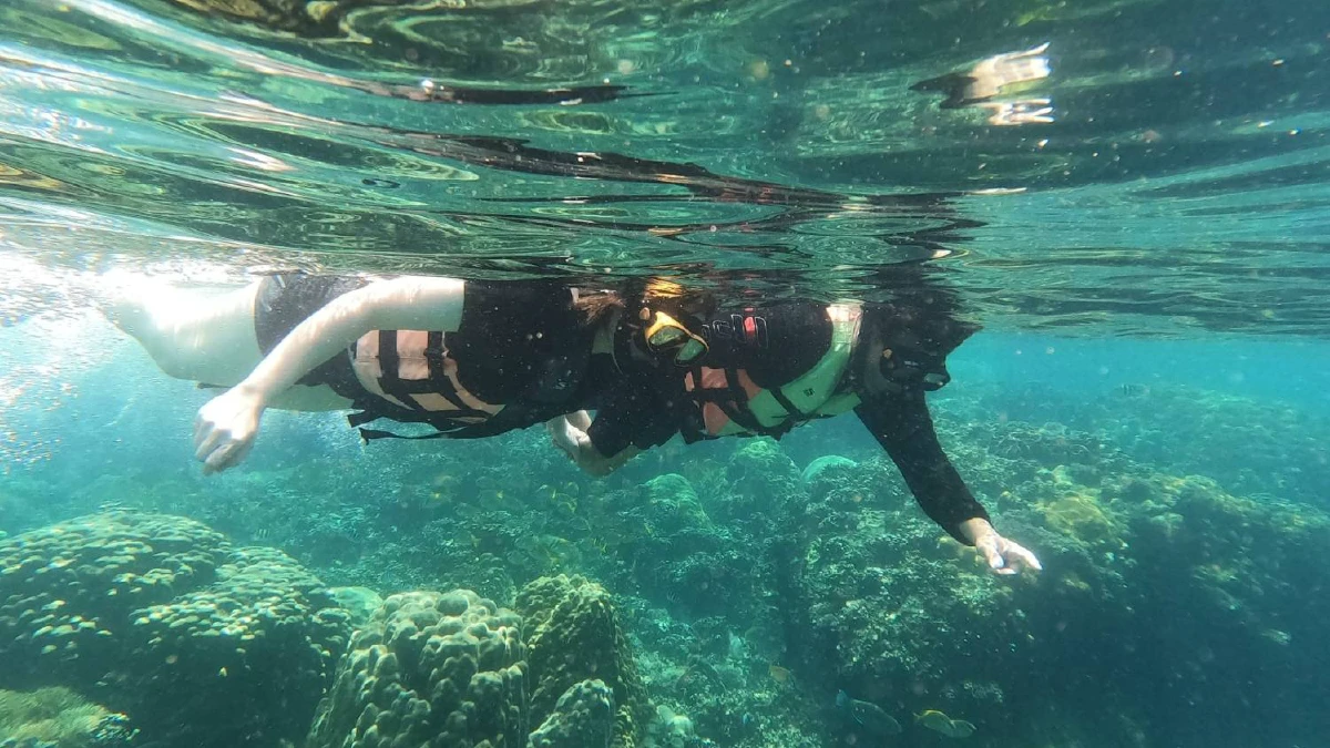 Snorkeling day trip to Chumphon islands