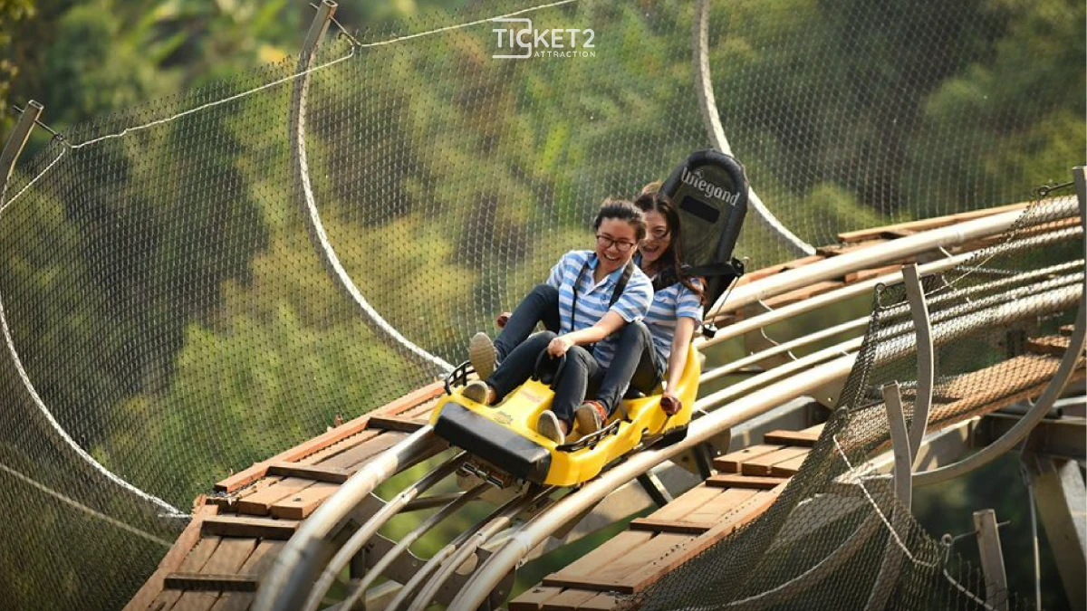 Chiang Mai Zipline and jungle coaster at Pongyang Jungle Coaster