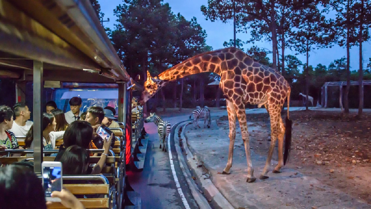 Chiang Mai Night Safari (CM.P)