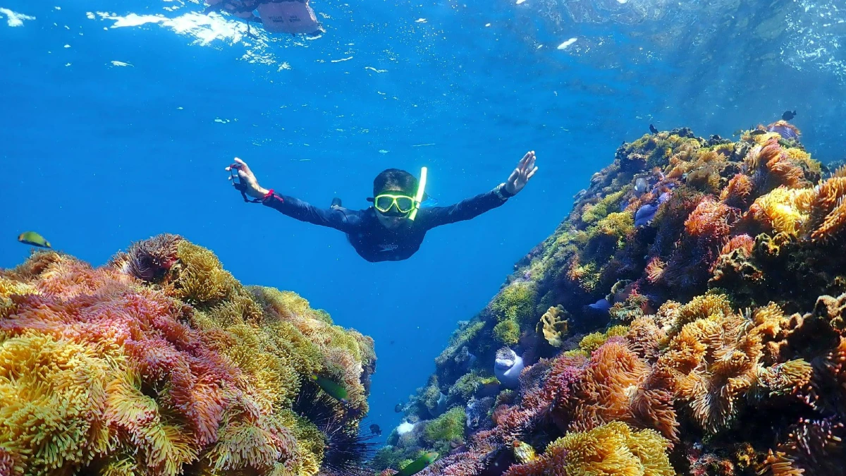 Snorkeling Trip to Koh Ran Ped & Koh Ran Kai island by longtail boat