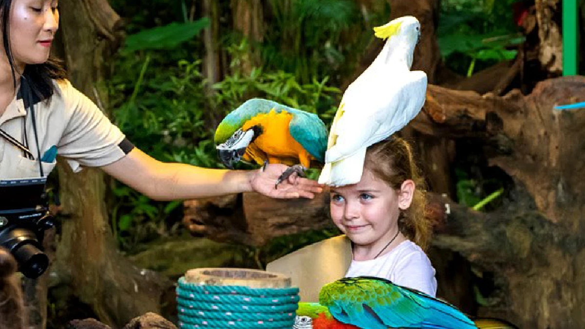 Phuket Bird Park