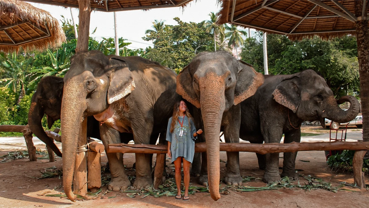 Elephant Care Activity at Ao Nang Elephant Sanctuary Krabi