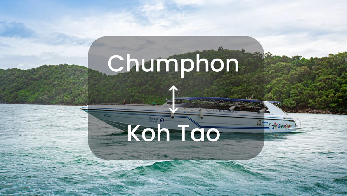 Speedboat Ticket between Chumphon and Koh Tao by Marine Passion