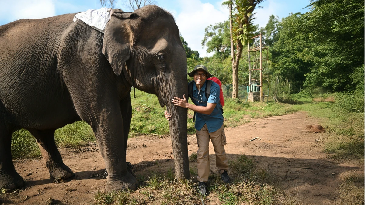 Elephant care and Bamboo Rafting Day tour Phang Nga