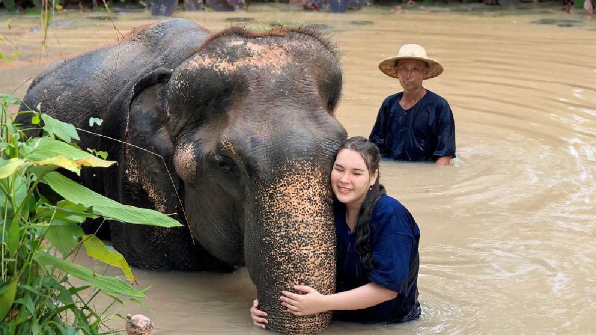 Elephant Bathing at Mongchang Café Pattaya