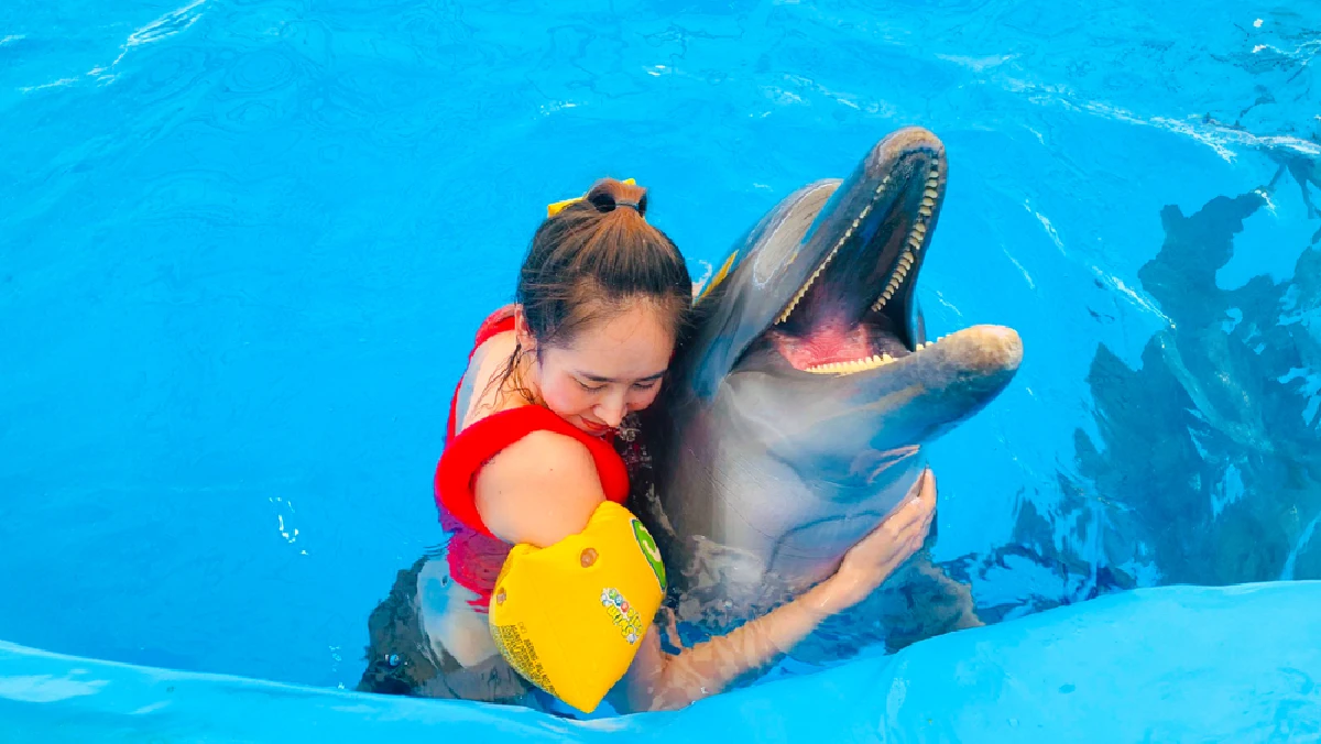 Pattaya Dolphinarium (Swim with dolphin)