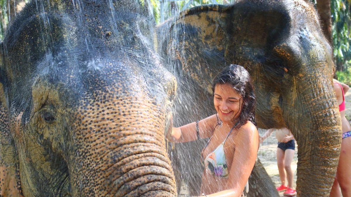 Elephant Experience at The Elephant Sanctuary Krabi Thailand