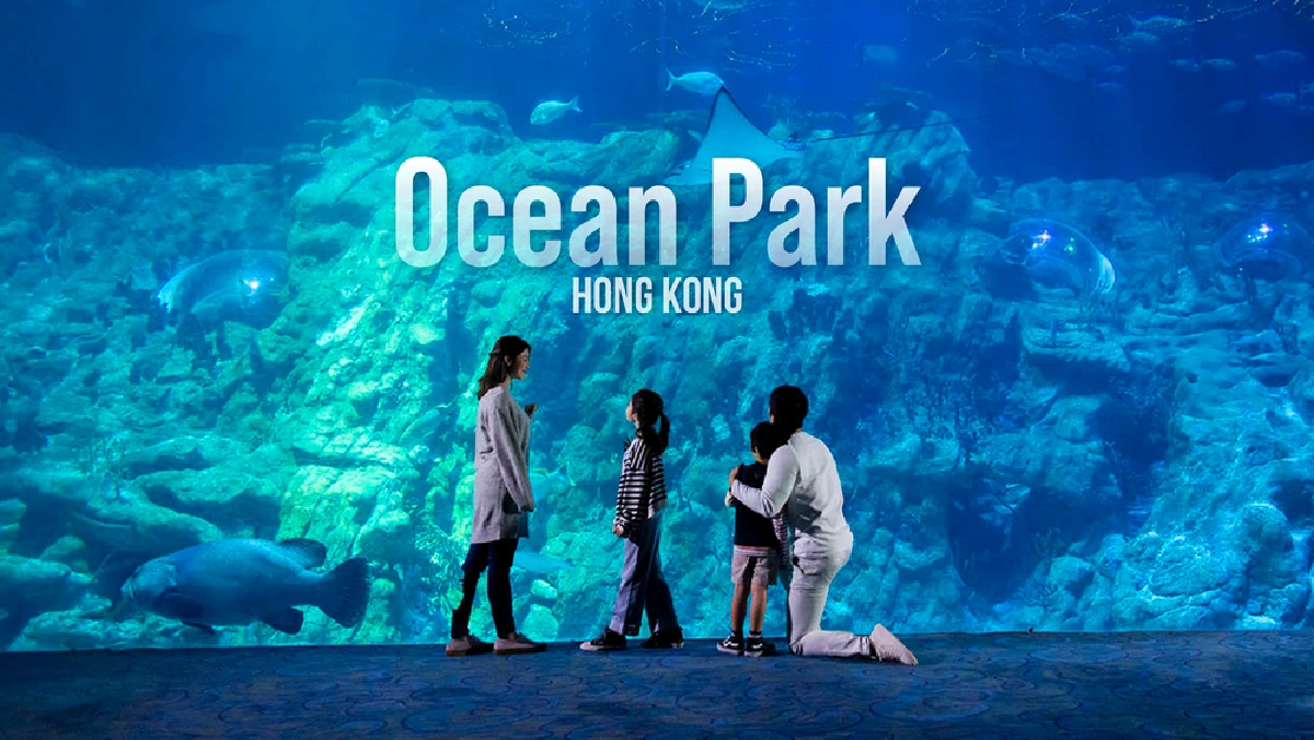 Ocean Park Hong Kong Ticket