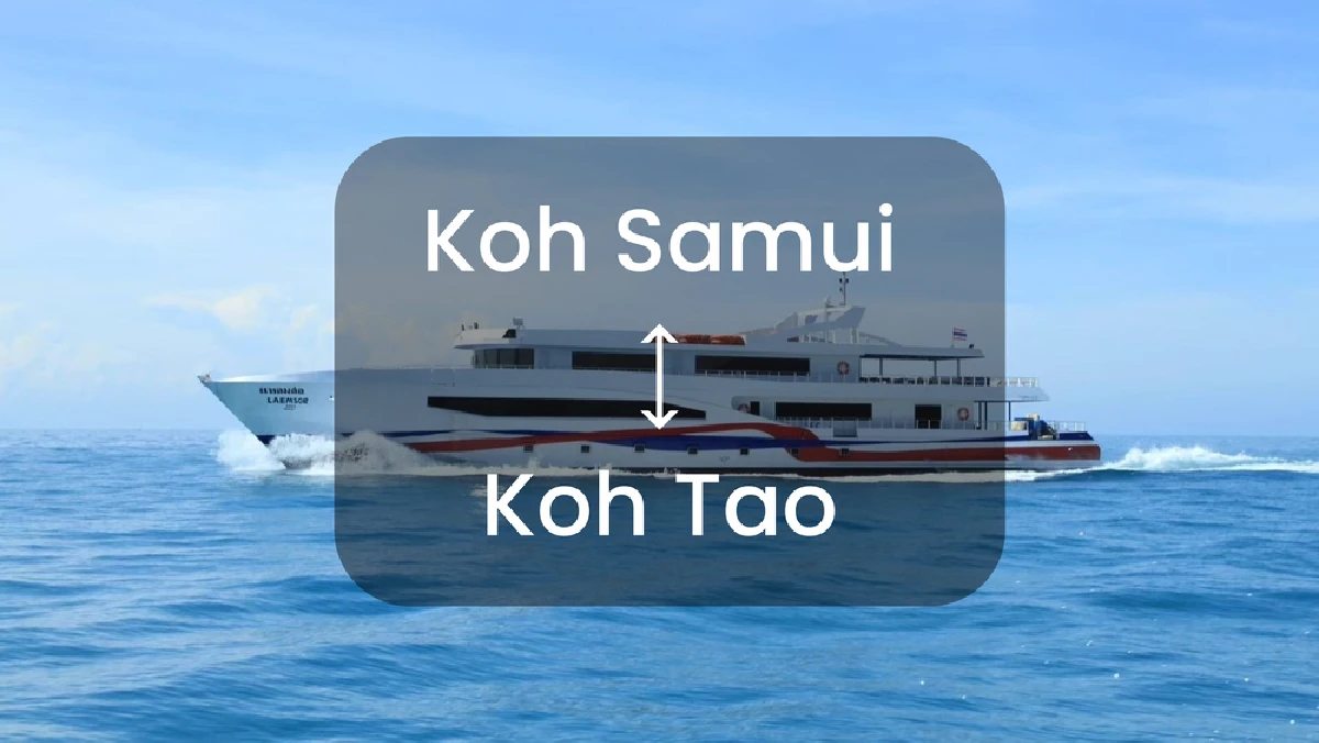 Koh Samui - Koh Tao Passenger Ferry by Laemsor Lomprayah Ferry