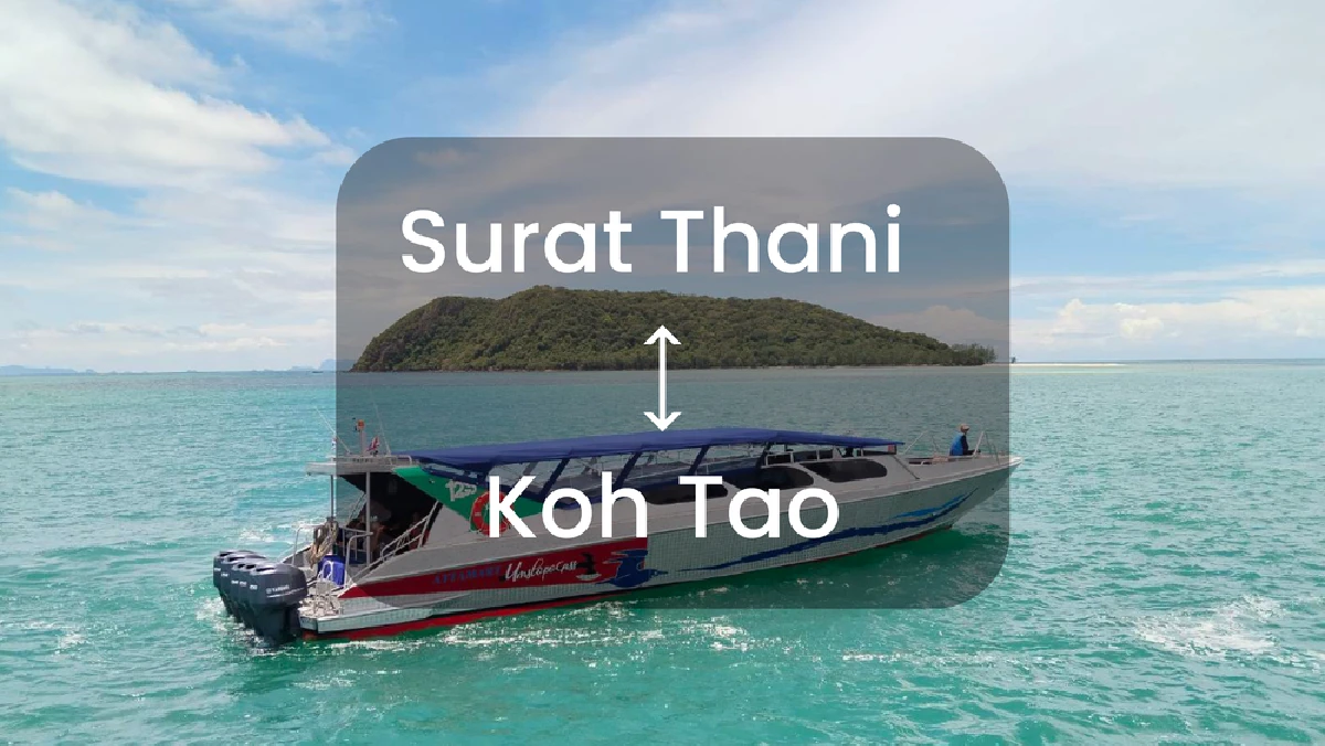 Speedboat & Van Ticket Surat Thani - Koh Tao by Lomlahkkhirin