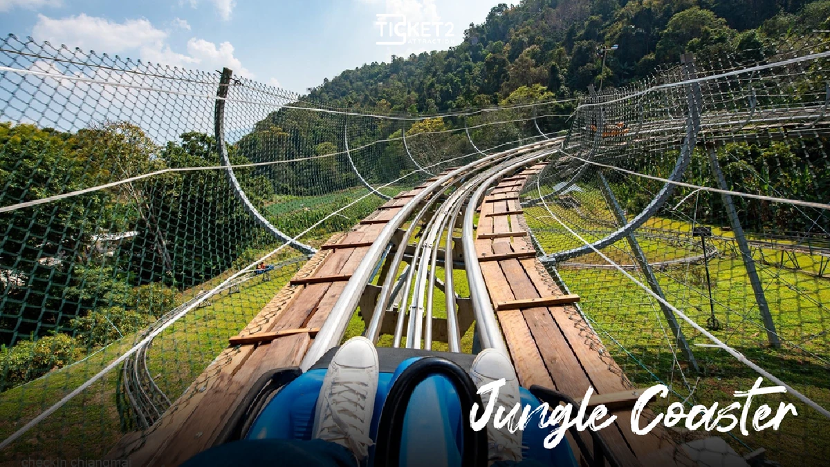 Jungle Coaster and other activities at Pongyang Adventure Park (Single attraction)