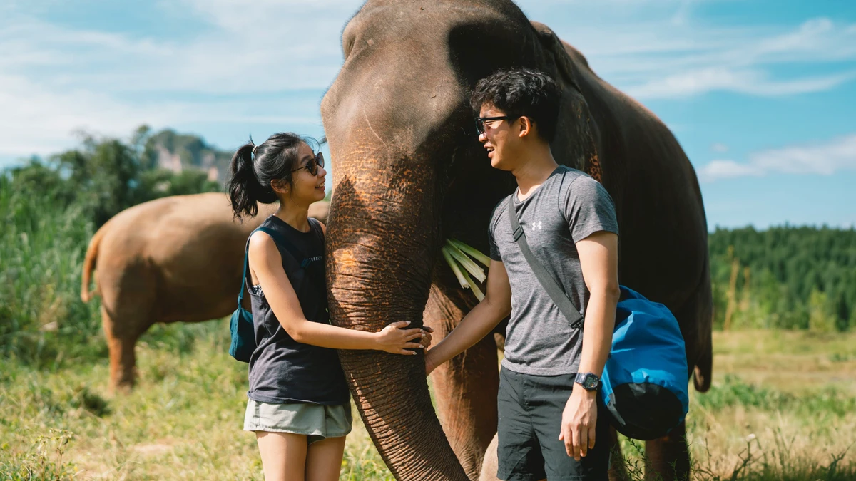 Elephant Care Experience at Krabi Elephant House Sanctuary