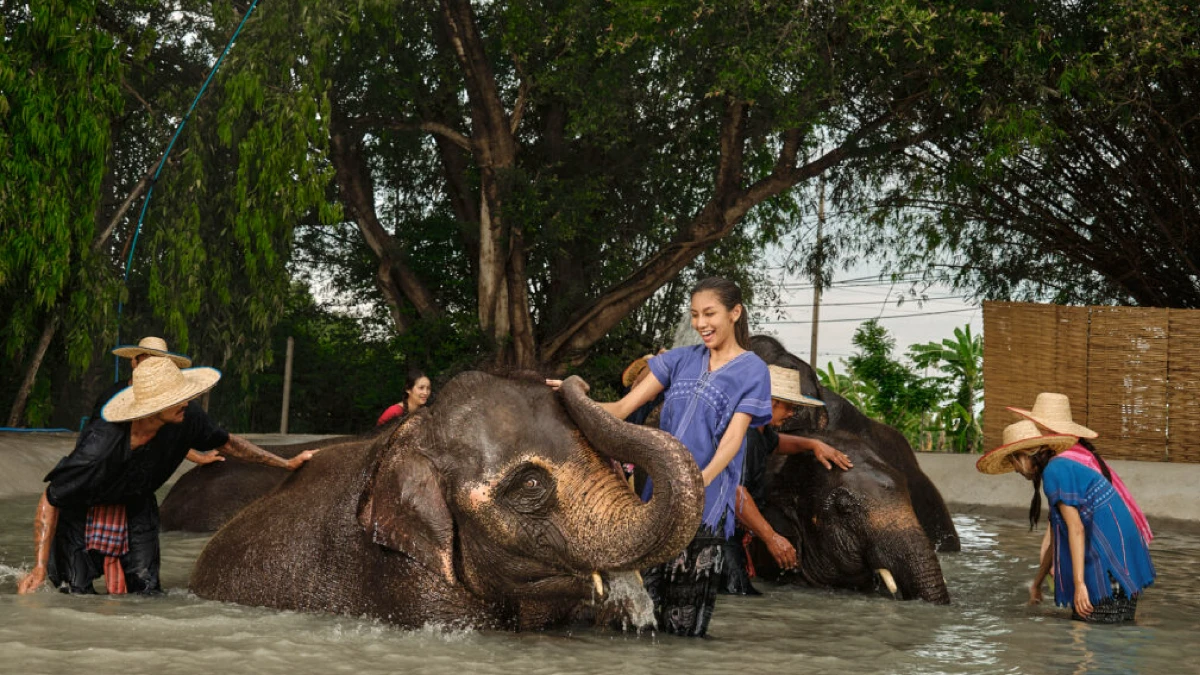 กิจกรรมอนุรักษ์ช้างที่ปางช้าง Elephant Park กรุงเทพ