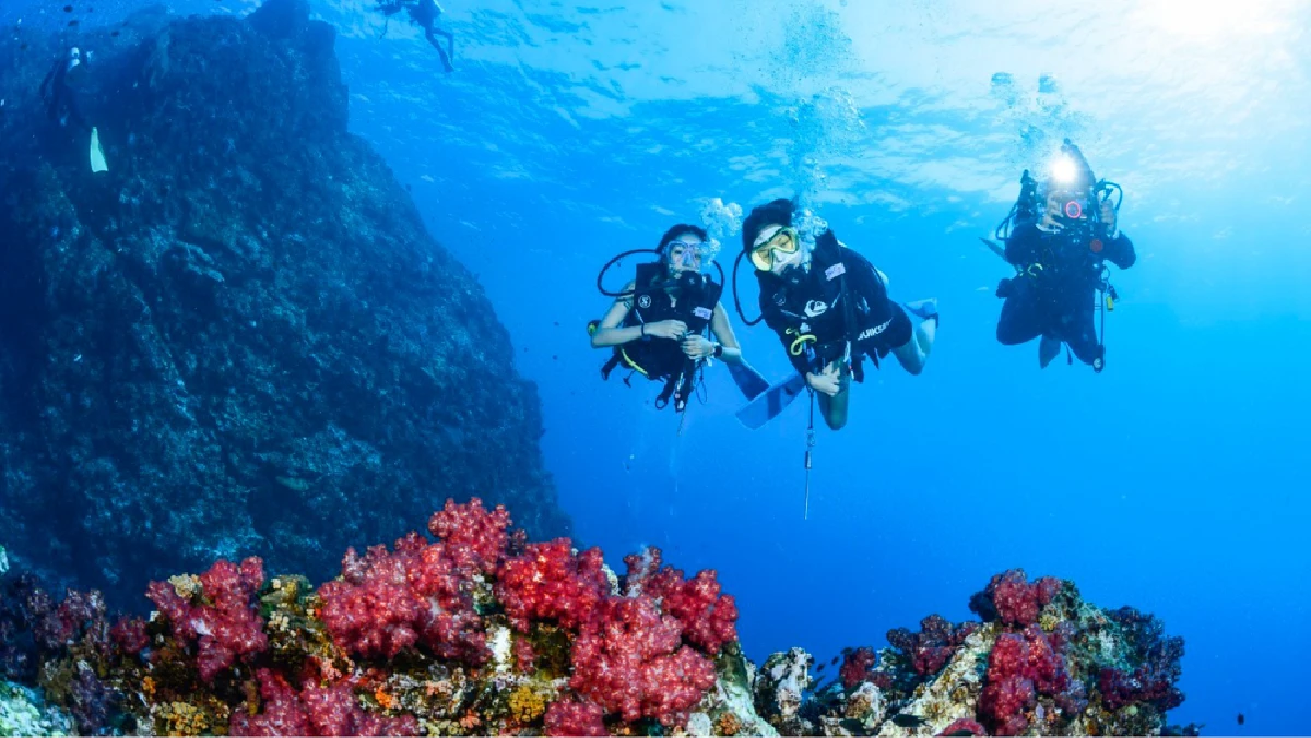 Scuba Diving in Phuket