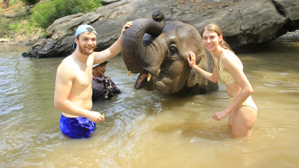 Chiang Mai: Inthanon National Park + trekking at Pha Dok Siew Waterfall + elephant care